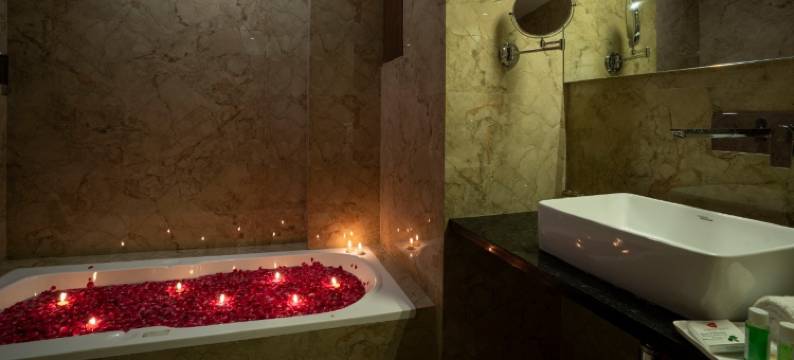 拉姆先生完美酒店(Hotel Shri Ram Excellency)图片