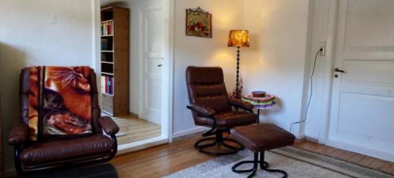 Holiday Home Bengtsfors图片