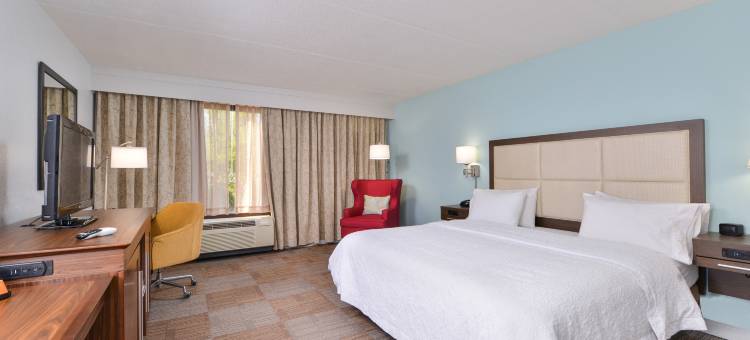 奥蒙德海滩代托纳欢朋酒店(Hampton Inn Daytona/Ormond Beach)图片