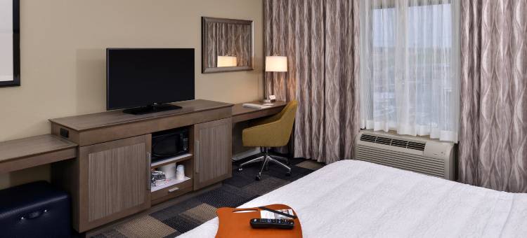 布鲁萨尔拉斐特欢朋酒店(Hampton Inn Broussard-Lafayette Area)图片
