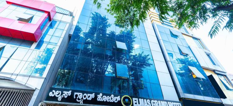 Treebo 埃尔马斯大酒店(Treebo Elmas Grand)图片