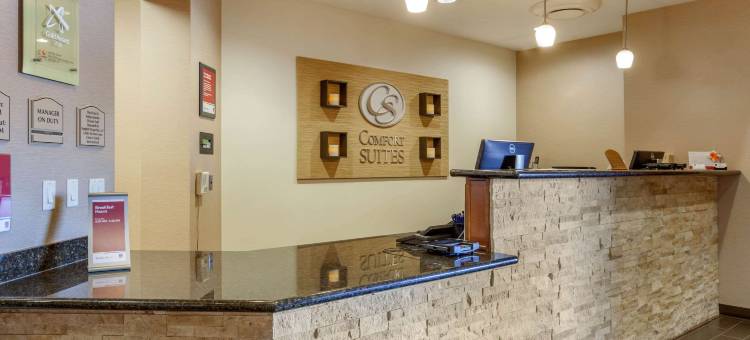 格兰岱尔州立农场体育场区舒适套房酒店(Comfort Suites Glendale - State Farm Stadium Area)图片