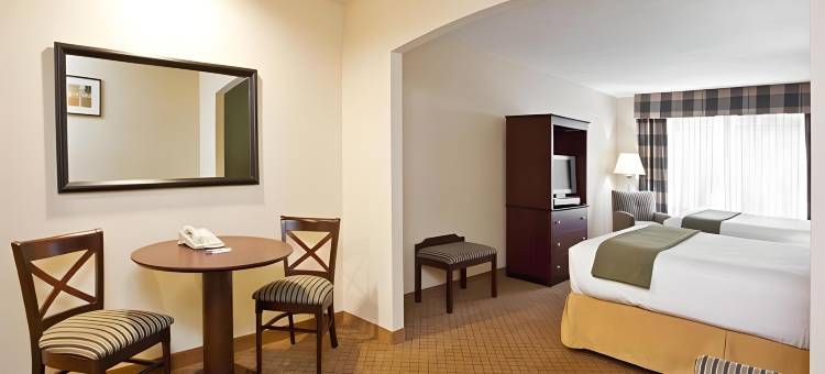 智选假日套房酒店阿森斯(Holiday Inn Express & Suites Athens)图片