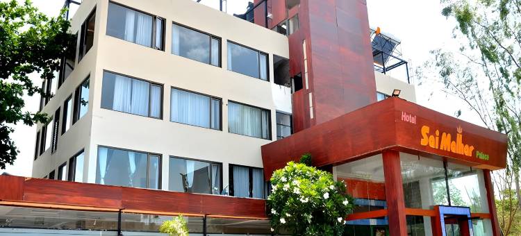 玛哈尔宫殿酒店(Hotel Malhar Palace)图片