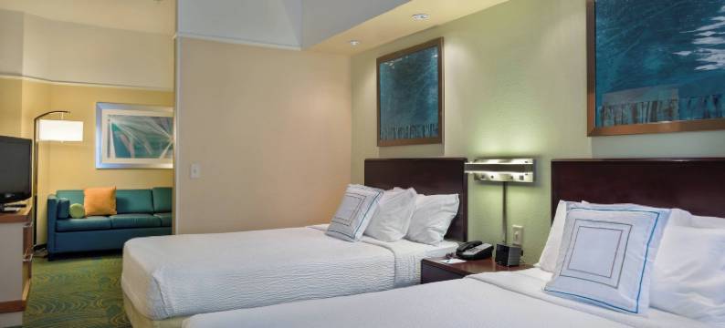 圣彼得堡清水SpringHill套房酒店(SpringHill Suites St. Petersburg Clearwater)图片