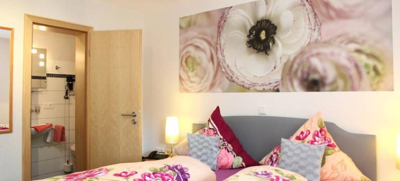 施魏因博格公寓式酒店(Pension Und Ferienwohnungen Schweinsberg)图片