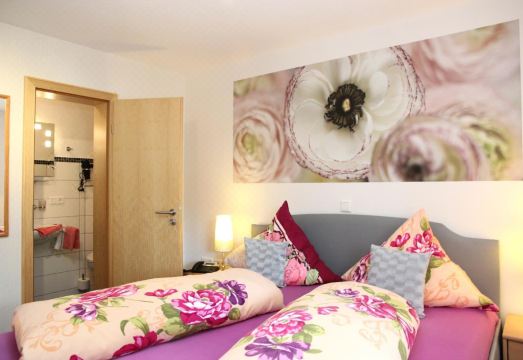 Pension Und Ferienwohnungen Schweinsberg Hotel Overview