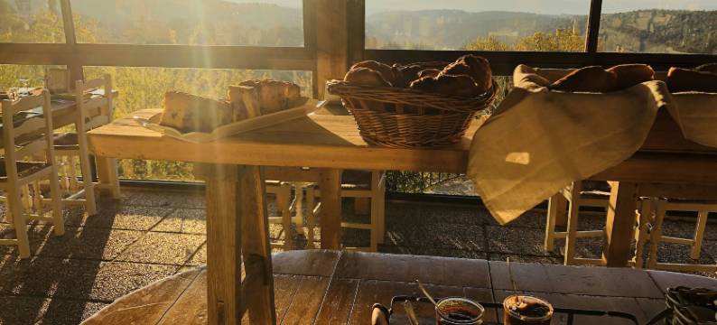 奥博尔格德拉布里森之旅酒店(Auberge de la Tour de Brison)图片