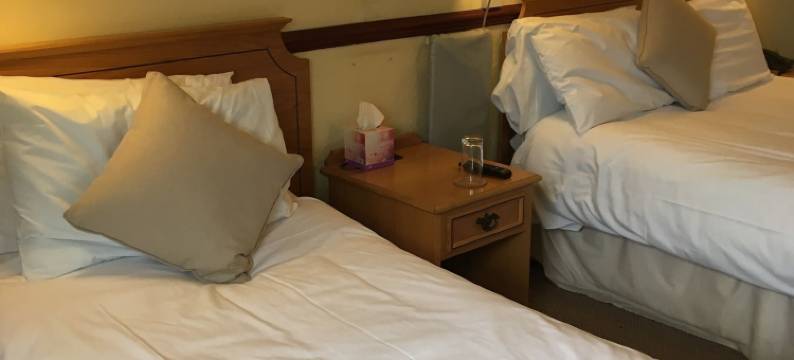 尼顿酒店(The Nyton Guesthouse)图片