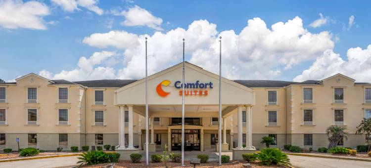 巴吞鲁日艾伦港舒适套房酒店(Comfort Suites Port Allen - Baton Rouge)图片