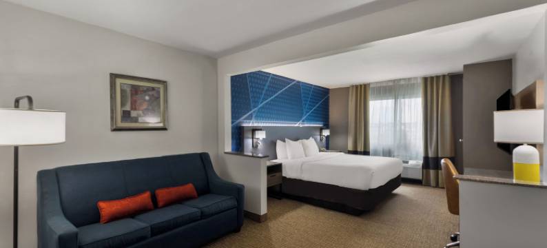 舒适套房酒店(Comfort Inn & Suites)图片