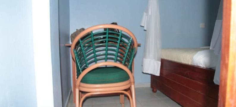 Don酒店(The Don Hotel)图片