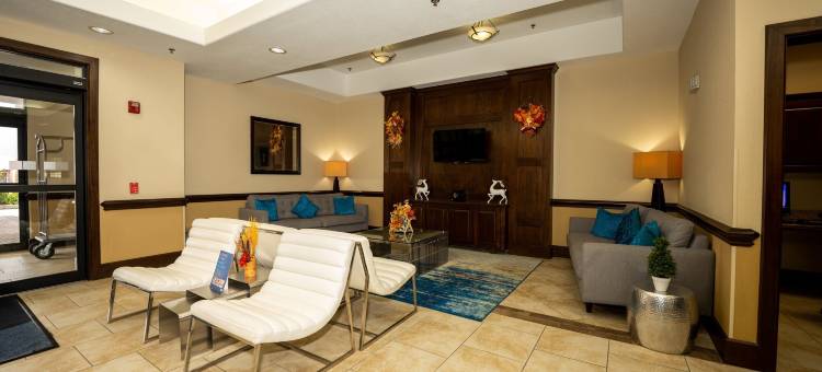 智选假日套房酒店迪尔帕克(Holiday Inn Express & Suites Deer Park)图片
