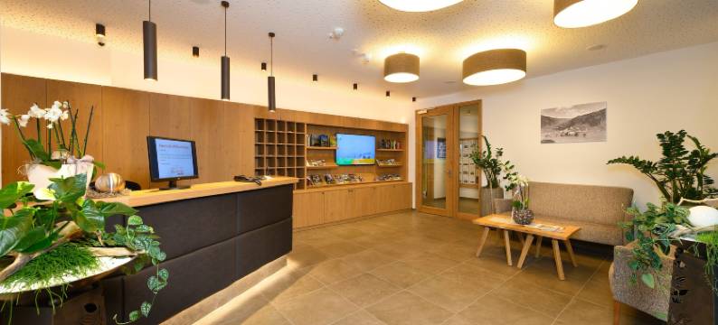 Kendlbacher公寓酒店(Appartement-Pension Kendlbacher)图片