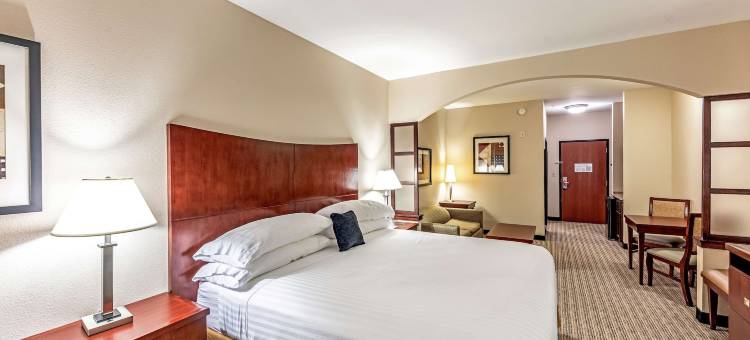 矿泉井城红狮套房酒店(Red Lion Inn & Suites Mineral Wells)图片