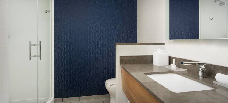 纳什维尔万枫套房酒店，靠近范德比尔特(Fairfield Inn & Suites Nashville Near Vanderbilt)图片