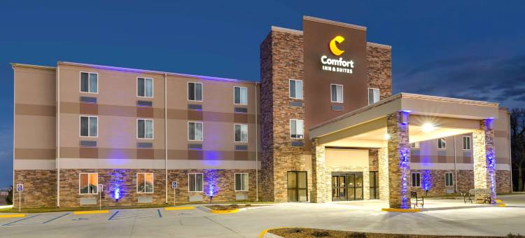 萨莱纳北舒适套房酒店(Comfort Inn & Suites Salina North)图片