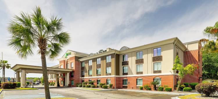 智选假日套房酒店海恩斯维尔(Holiday Inn Express & Suites HINESVILLE EAST - FORT STEWART by IHG)图片