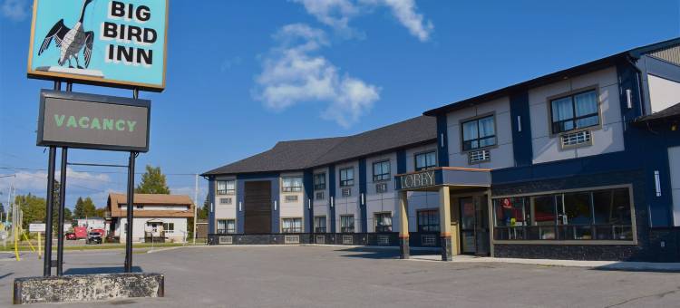 瓦瓦鸟旅馆 - 贝斯特韦斯特 SureStay 精选酒店(Big Bird Inn Wawa, SureStay Collection by Best Western)图片