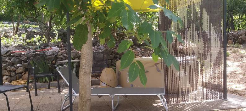 假日之家酒店(Holiday House)图片