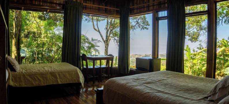 布罗梅利亚之花酒店(Hotel Flor de Bromelia)图片