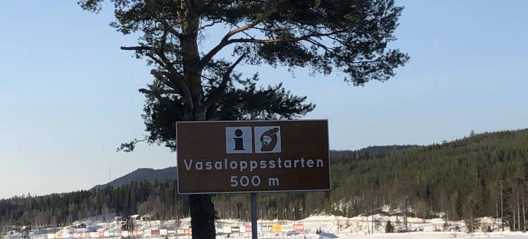 赛伦花园酒店(Sälengården)图片