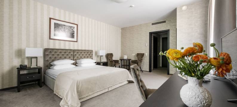 维尔纽斯安伯顿大教堂广场酒店(Amberton Cathedral Square Hotel Vilnius)图片