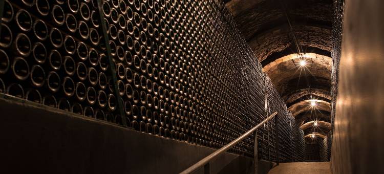 梅瑟尔卡萨托尼尔康德酒店(Mercer Casa Torner i Güell)图片