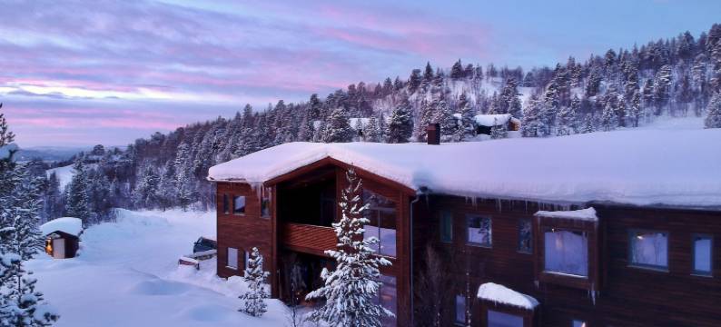 邦裘非尔高山旅馆(Bjørnfjell Mountain Lodge)图片