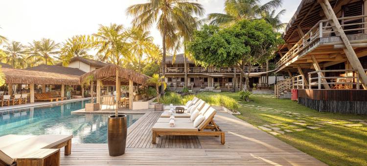 总是活着(Sempre Vivo)图片