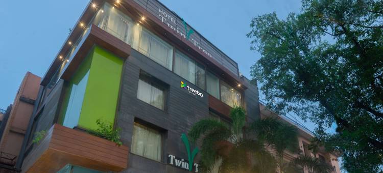 Treebo 双树(Treebo Twin Tree)图片