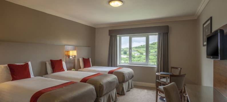 凯瑞克达尔温泉酒店(Carrickdale Hotel & Spa)图片