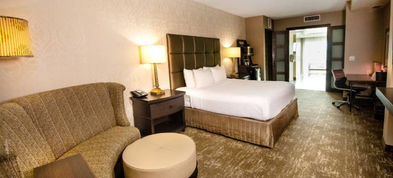 查尔斯顿皇冠假日酒店(Crowne Plaza CHARLESTON AIRPORT - CONV CTR by IHG)图片