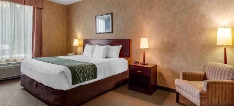 鲟鱼瀑布舒适酒店(Comfort Inn)图片