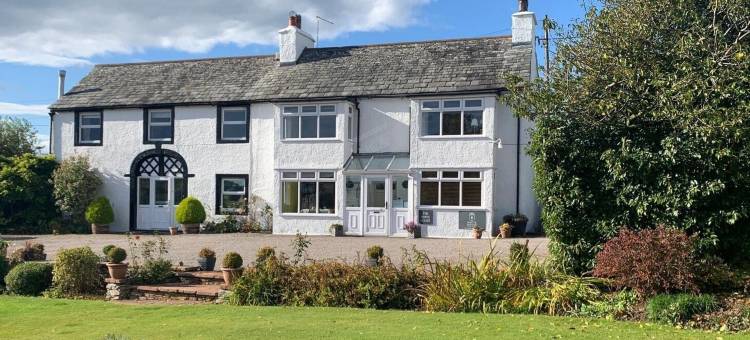 白房子旅馆(The White House Guest House)图片