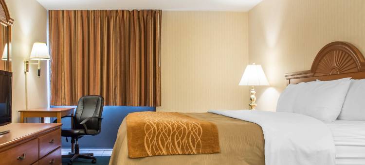 宾厄姆顿I-81舒适酒店(Comfort Inn Binghamton I-81)图片