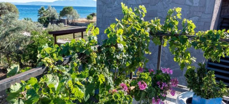 欧克藤汽车旅馆(Oktem Motel)图片