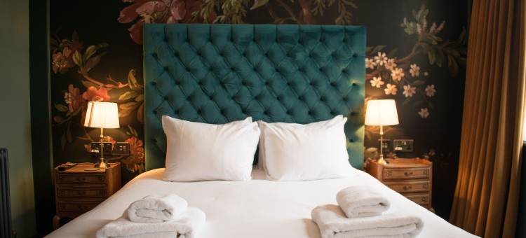 威斯托之家酒店(Westow House - London Crystal Palace)图片