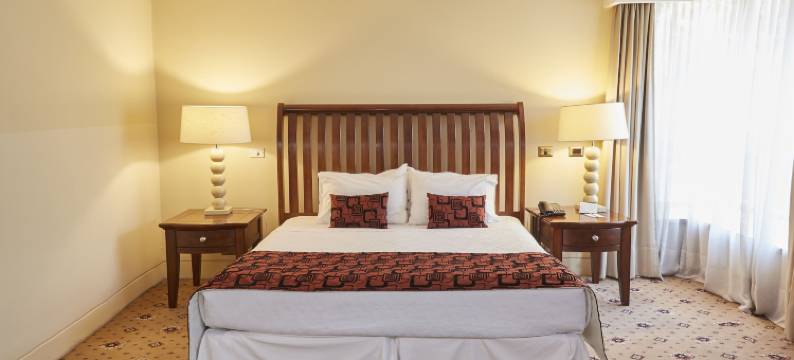 托瑞玛尔里昂酒店(Hotel Torremayor Lyon)图片