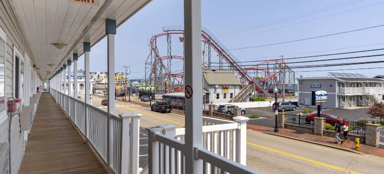 皇家山汽车旅馆(Mt Royal Motel)图片