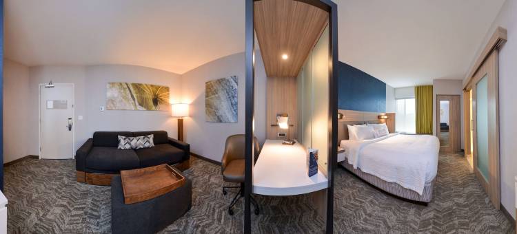 伊丽莎白敦万豪SpringHill Suites酒店(SpringHill Suites Elizabethtown)图片