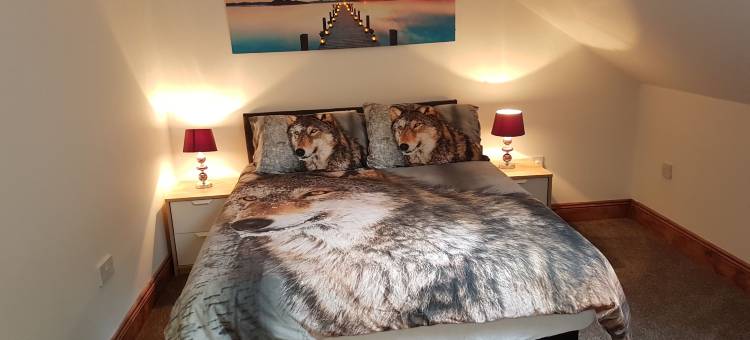 穆尔公园西屋酒店(Moorepark West House)图片