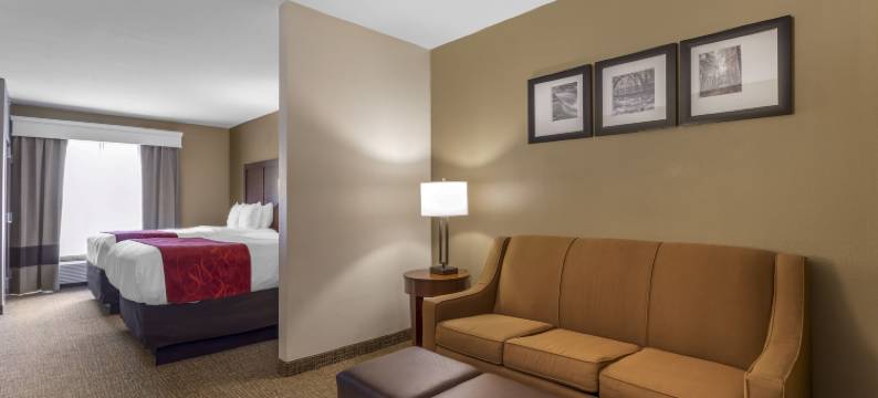 北诺克斯维尔舒适套房酒店(Comfort Suites North)图片