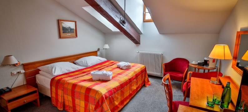 德沃夏克塔博尔LH酒店(LH Hotel Dvořák Tábor Congress & Wellness)图片