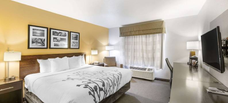 卡尔斯巴德洞穴区舒眠套房酒店(Sleep Inn & Suites Carlsbad Caverns Area)图片