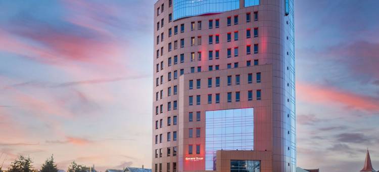 锡比乌阿娜塔金色郁金香酒店(Golden Tulip Ana Tower Sibiu)图片