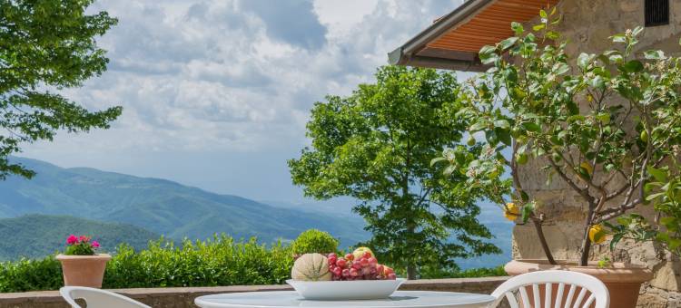 佛罗伦萨帕西里尼农庄民宿(Agriturismo Casapasserini)图片