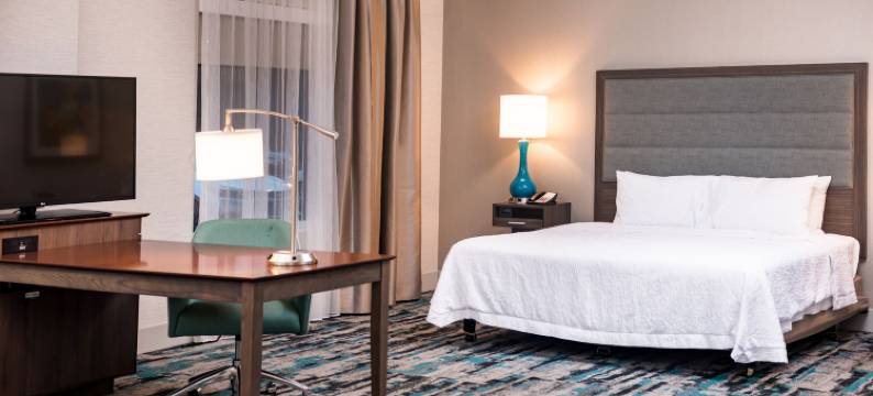 华盛顿州奥林匹亚莱西欢朋套房酒店(Hampton Inn & Suites Olympia/Lacey)图片