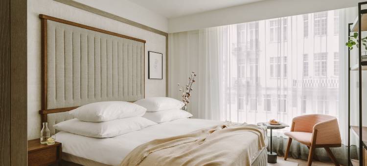 普罗华沙中心酒店(Puro Warszawa Centrum)图片