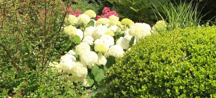 拉图尔乔索姆宅邸旅馆(Maison d'Hôtes Joussaume Latour)图片